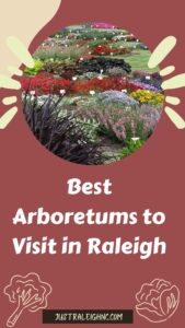 Discover the Best Arboretums to Visit in Raleigh