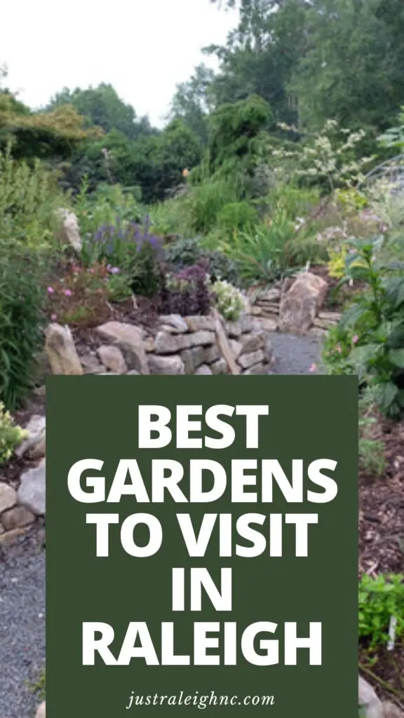 Touring The Best Gardens to Visit in Raleigh A Nature Lover's Guide