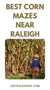 Best Corn Mazes Near Raleigh