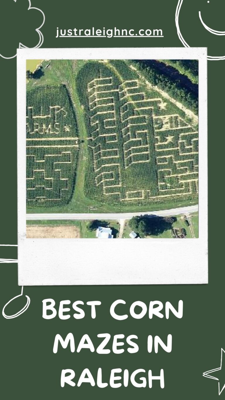 Best Corn Mazes in Raleigh