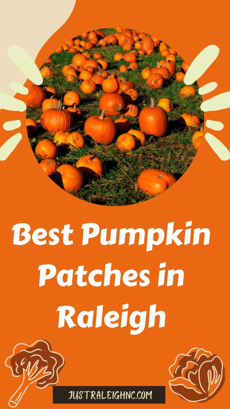Best Pumpkin Patches in Raleigh