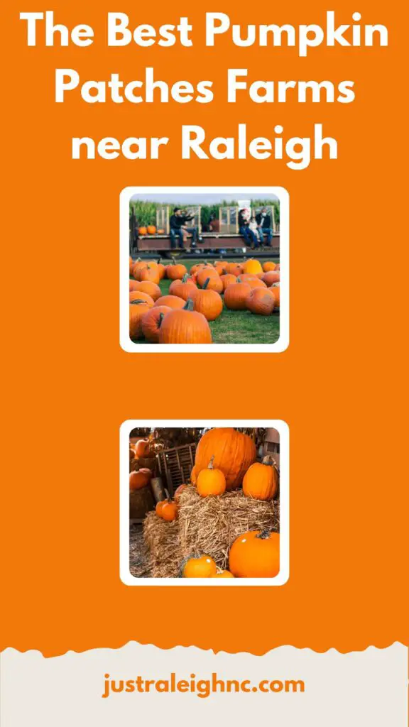 The Best Pumpkin Patches Farms near Raleigh