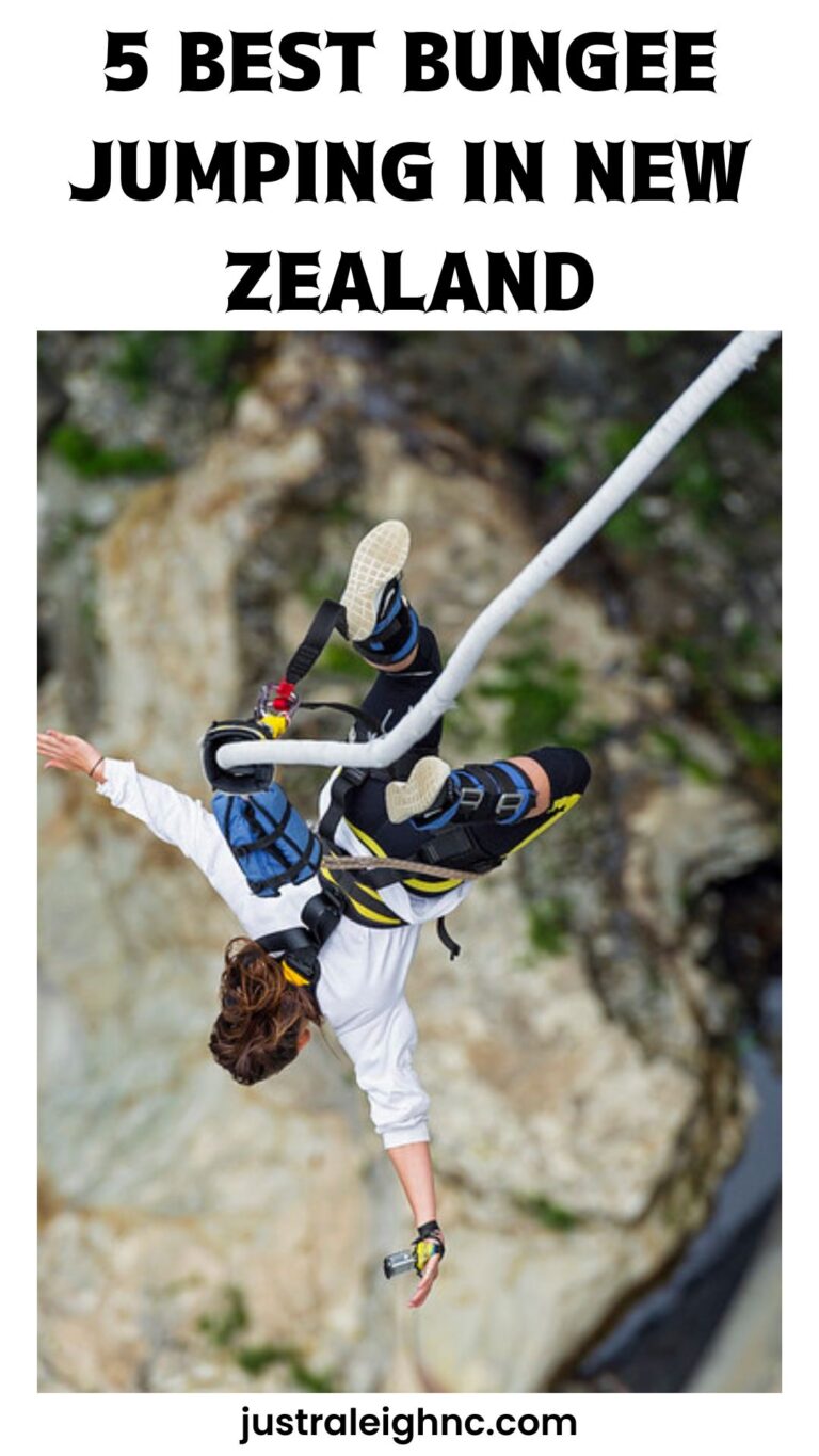The 5 Best Bungee Jumping Experiences in New Zealand